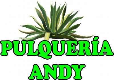 20090708204356-pulqueria-andy.jpg